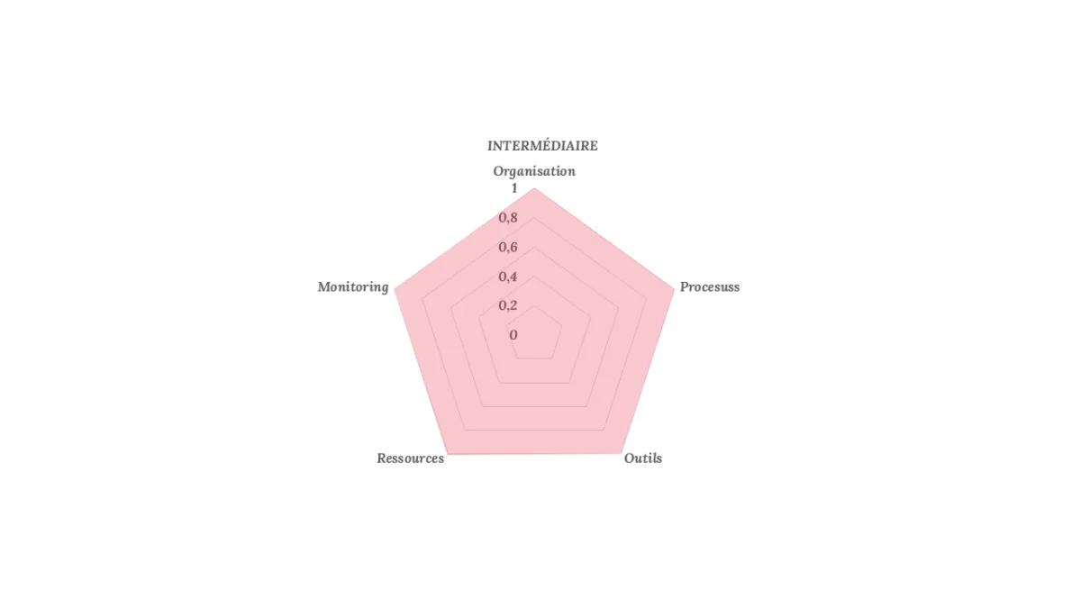 Graphique radar de l’impact de la DAC6 pour l’intermédiaire, élevé sur les cinq axes.
